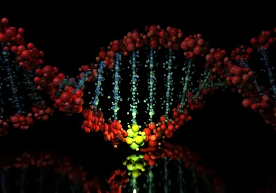 A bright, illuminated, yellow cluster of spheres, representing a mutated base pair, stands out from a double helix of deep red base pairs joined by blue hydrogen bonds